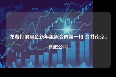 龙湖打响房企新年组织变阵第一枪 合并南京、合肥公司
